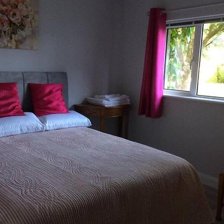 Ferienwohnung Mews With Garden Views Carlow Exterior foto